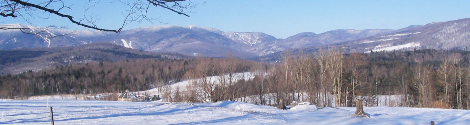 Vermont Economic Resiliency Initiative (VERI)