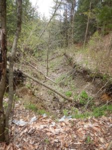 Eroding gully caused by stormwater runoff